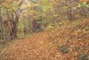 Automne