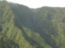 dsc00632.thumbnail La Réunion : la Plaine des Palmistes