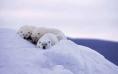 Il fait froid!!! froid Il fait froid!!!