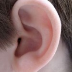 ear 150x150 Entendu à Paris
